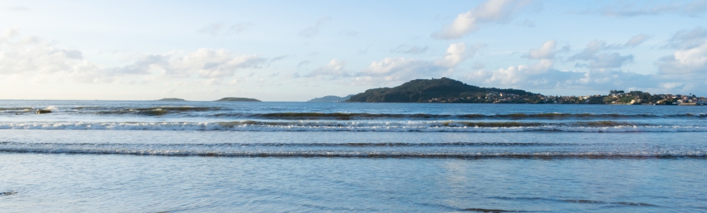 User banner image